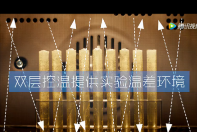 蛋清音乐家的诞生之路