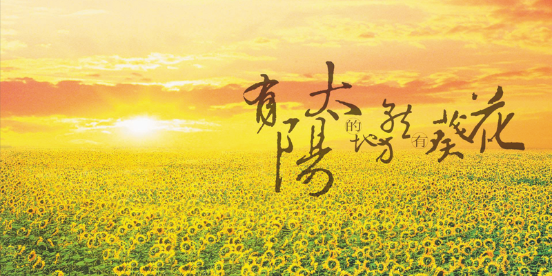 葵花药业重广告轻研发模式难持续 葵花药业重广告轻研发模式难持续