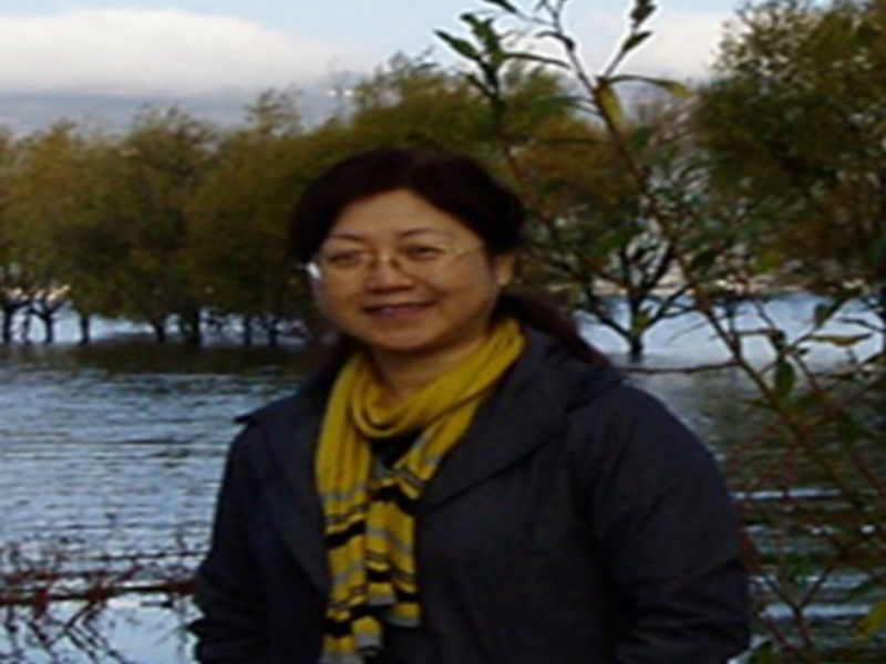 海口经济学院艺术设计学院——郑莉 海口经济学院艺术设计学院——郑莉
