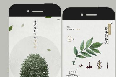 中华环境保护基金会×凯迪拉克——寻找你的本命守护树